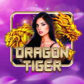 Dragon Tiger at jl777 live casino